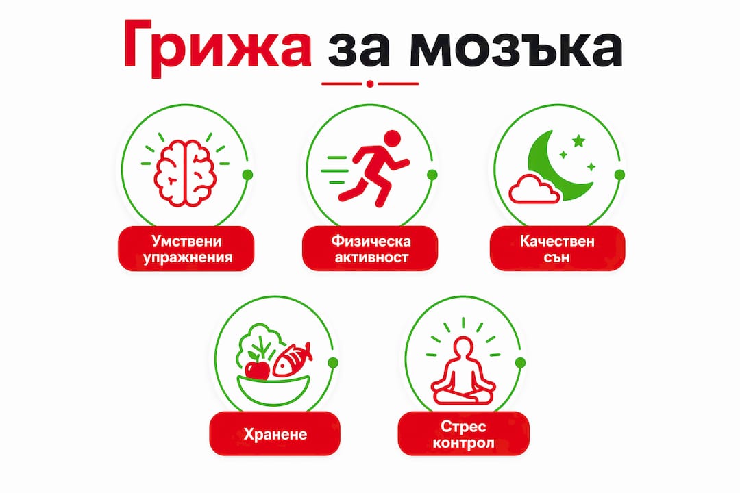 Инфографика с полезни съвети за поддържане на здрав мозък