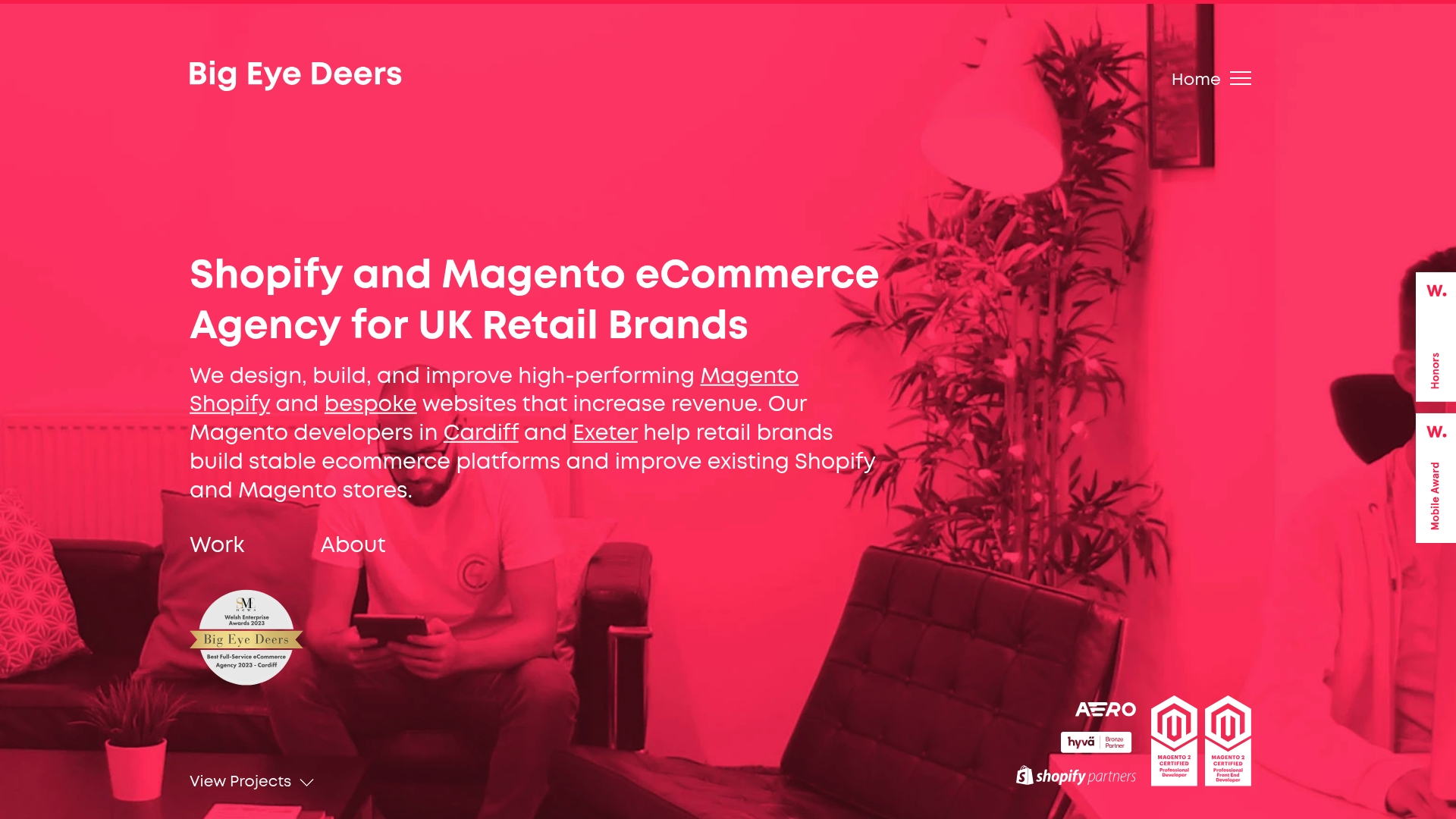 https://bigeyedeers.co.uk