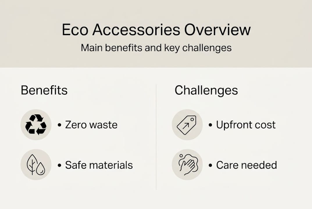 Infographic: eco accessory benefits and challenges