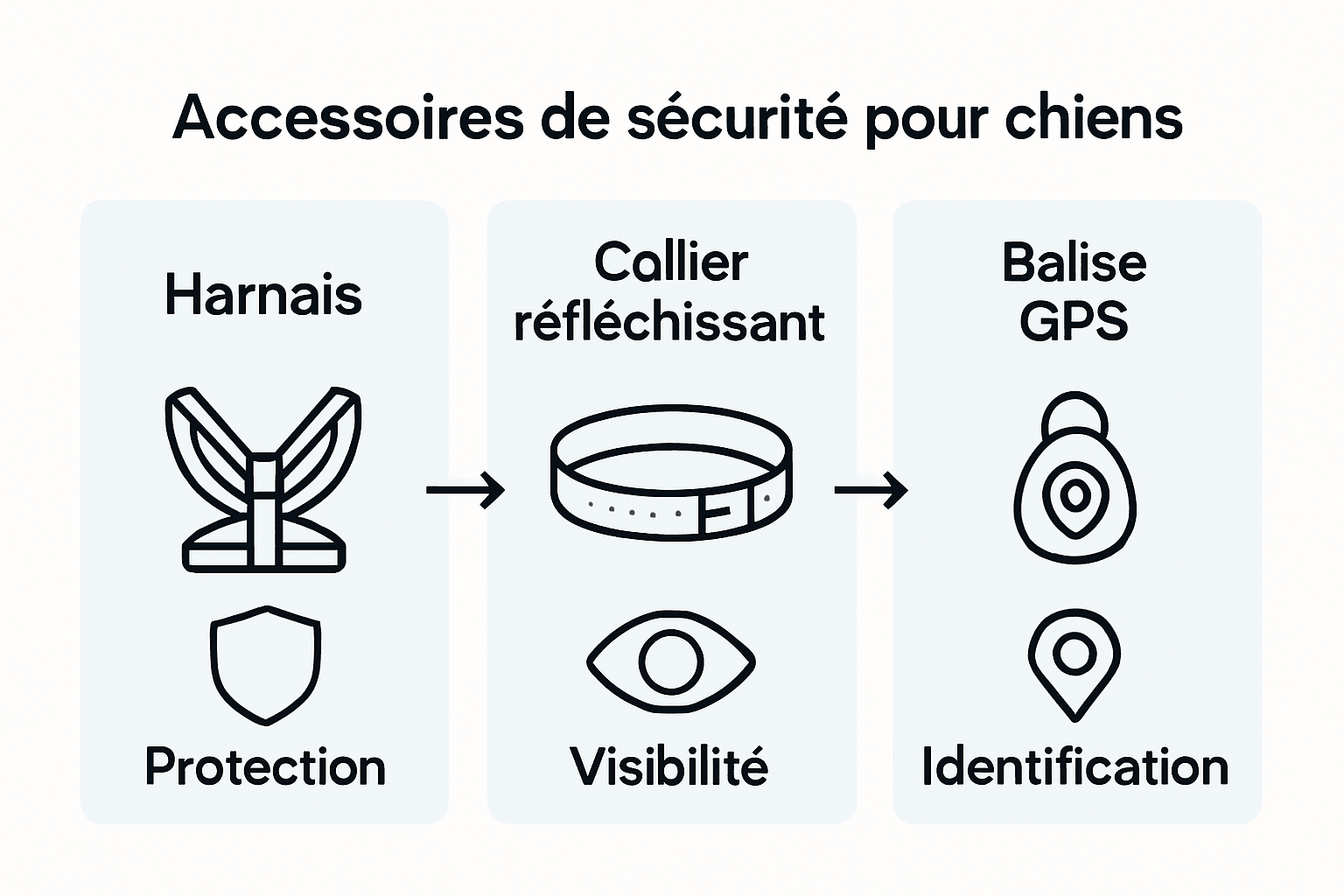 Infographie : les accessoires indispensables pour la sécurité de votre chien, comparés en un clin d’œil