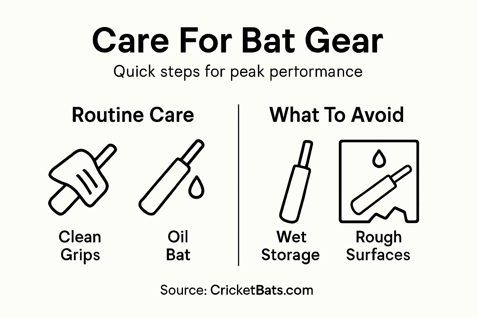 Infographic shows bat accessory care and common mistakes