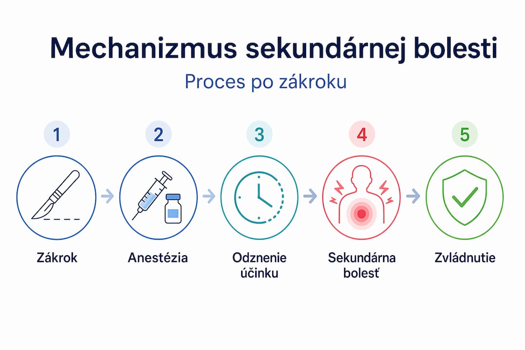 Infografika: ako vzniká sekundárna bolesť – 5 základných krokov