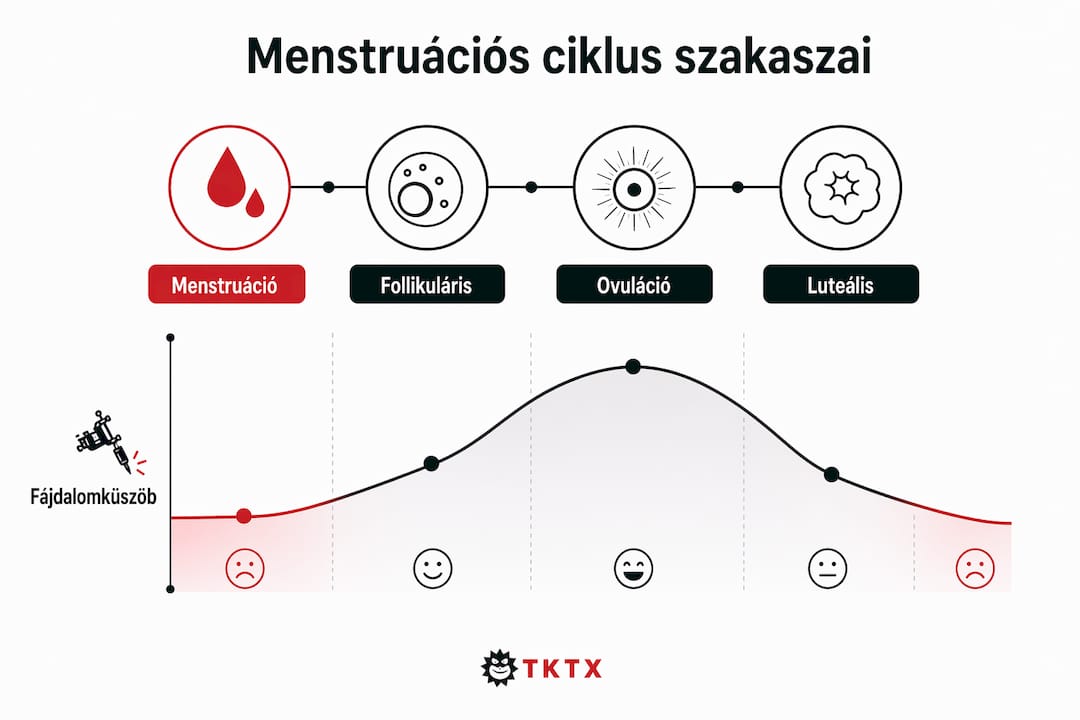Infografika a menstruációs ciklus egyes szakaszairól és arról, hogyan változik a fájdalomérzékelés az egyes időszakokban