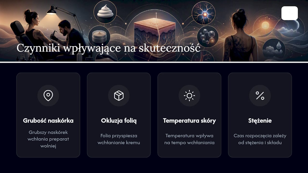 Schemat czynników wpływających na wchłanianie kremu znieczulającego