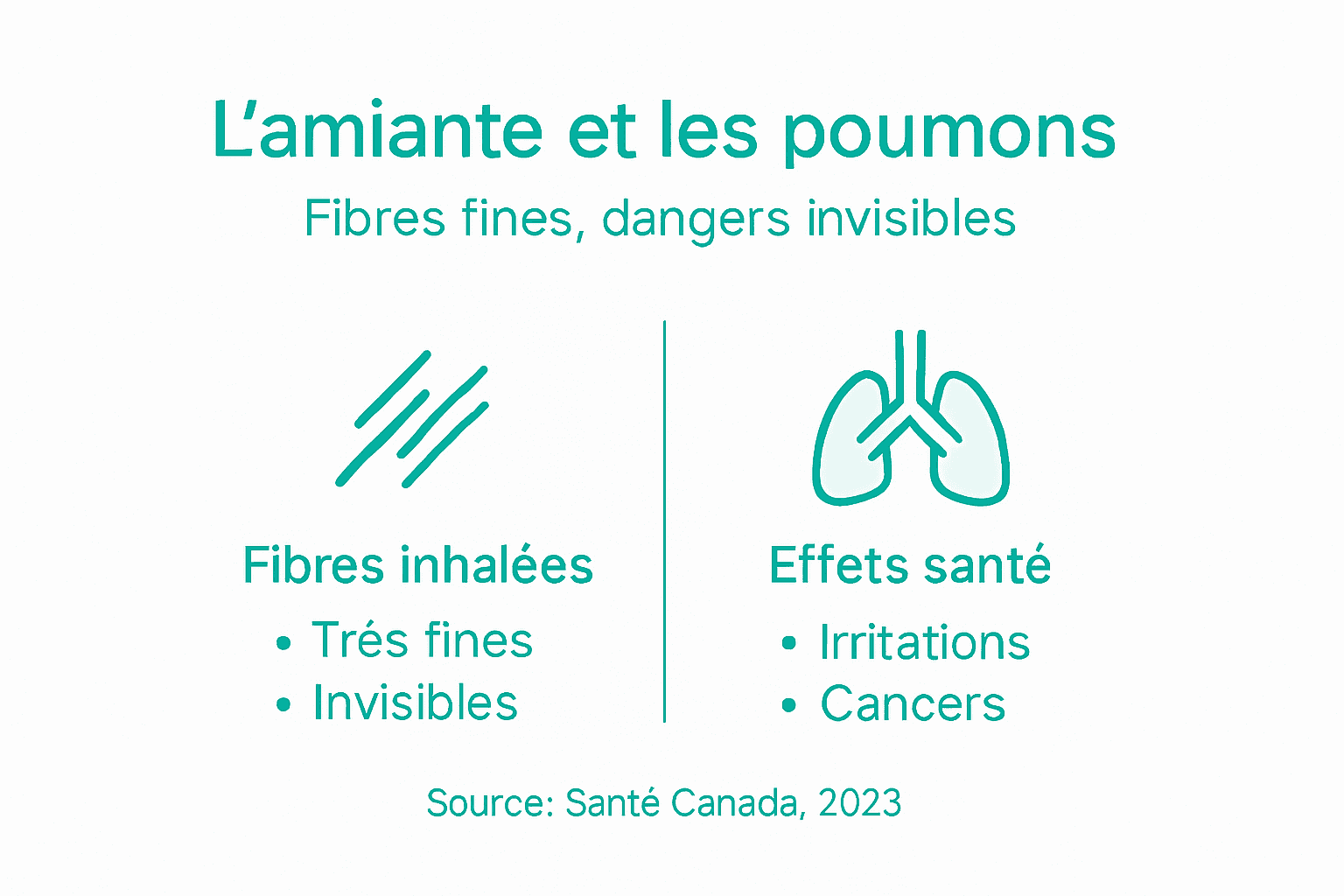Visualisation des effets de l’amiante sur la santé respiratoire