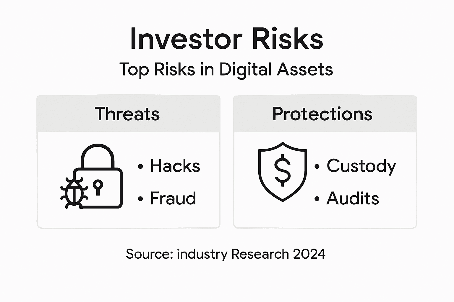 Infographic showing top investor risks and safeguards