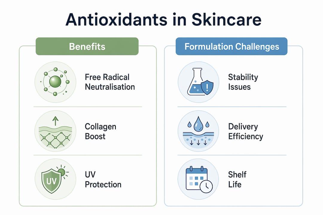 Infographic comparing antioxidant benefits and formulation challenges