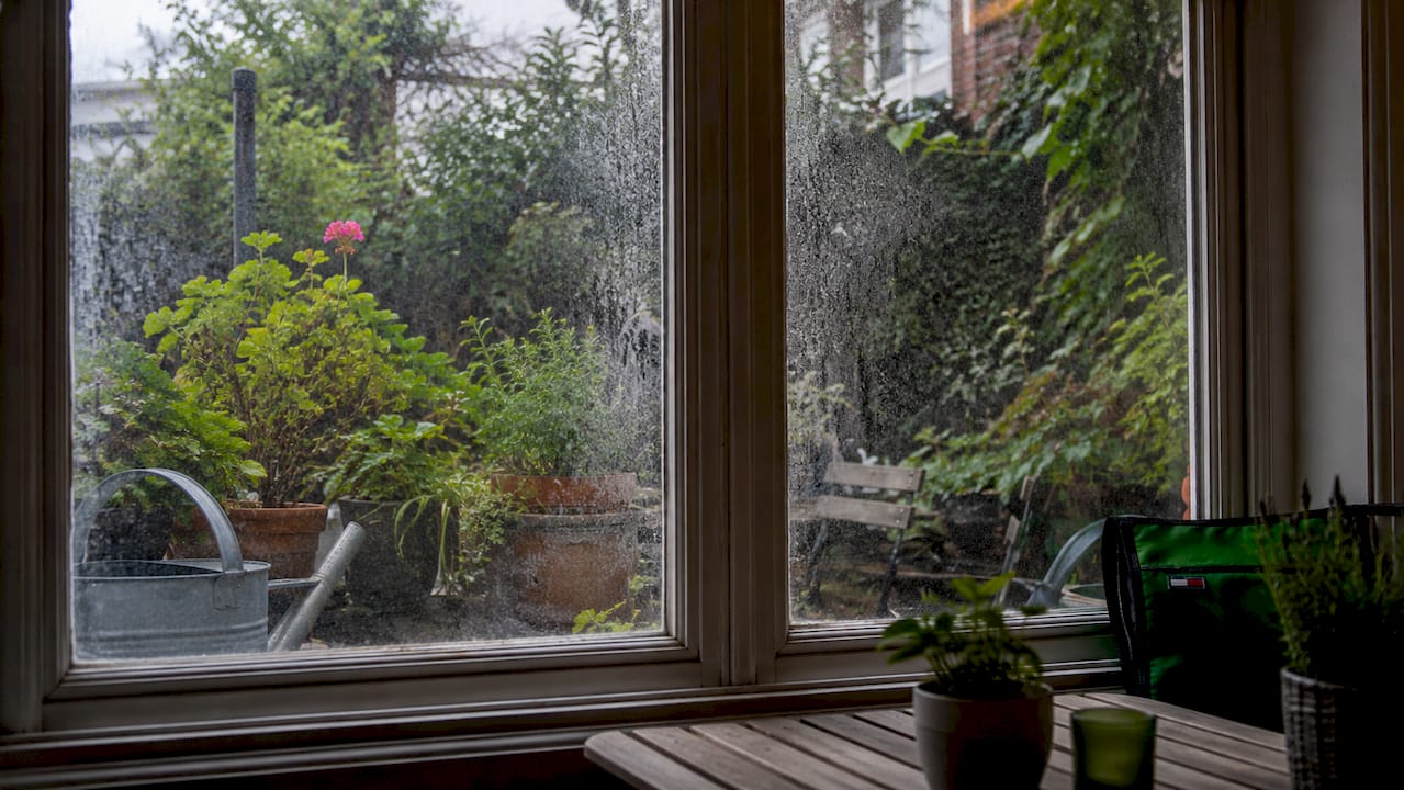 Close-up of mineral deposits on window glass
