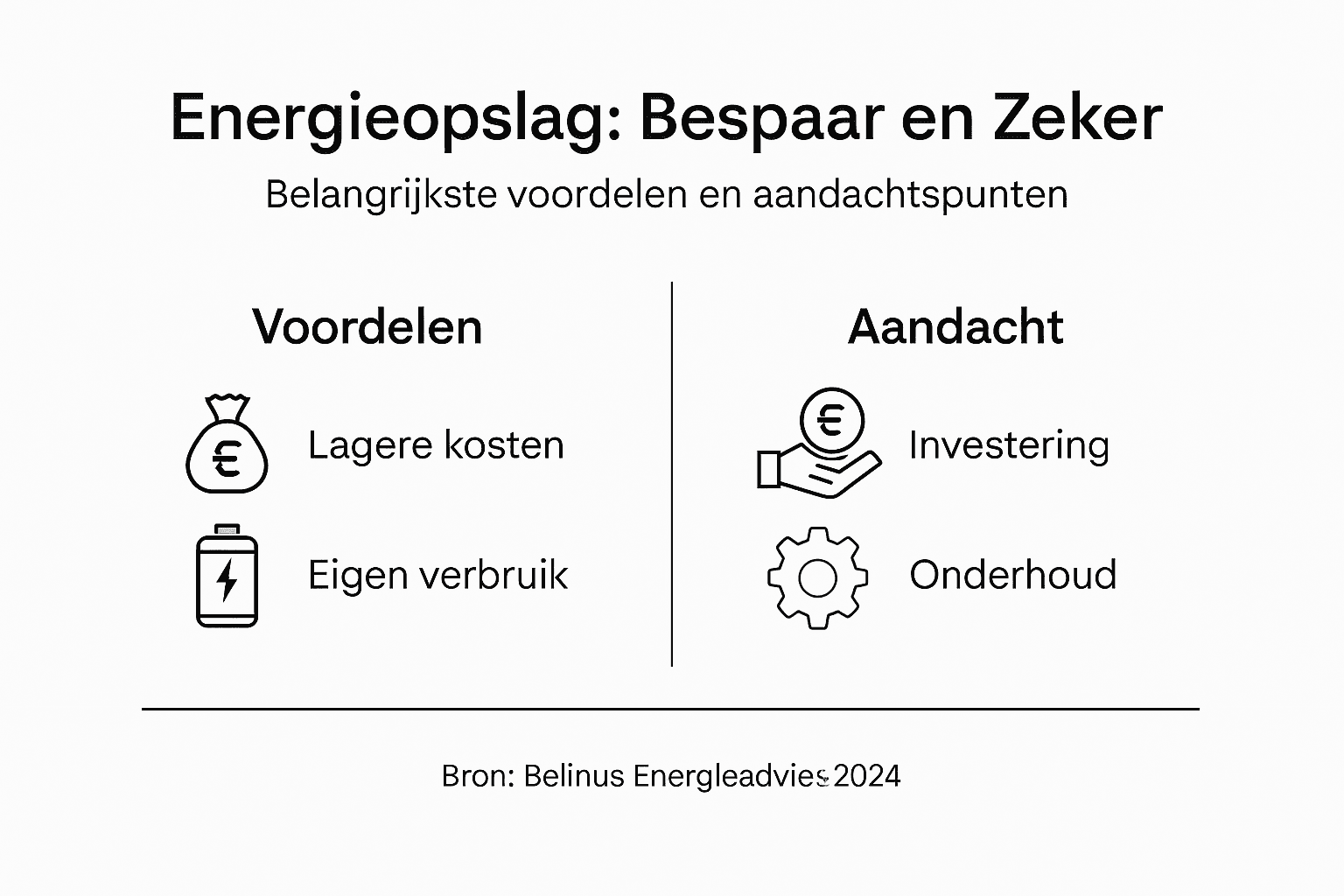 Infographic: de pluspunten en aandachtspunten van energieopslag op een rij
