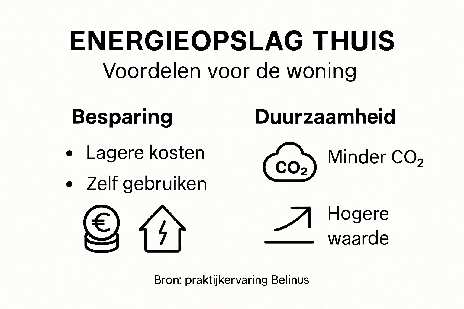 Infographic: de voordelen van energieopslag in huis op een rij
