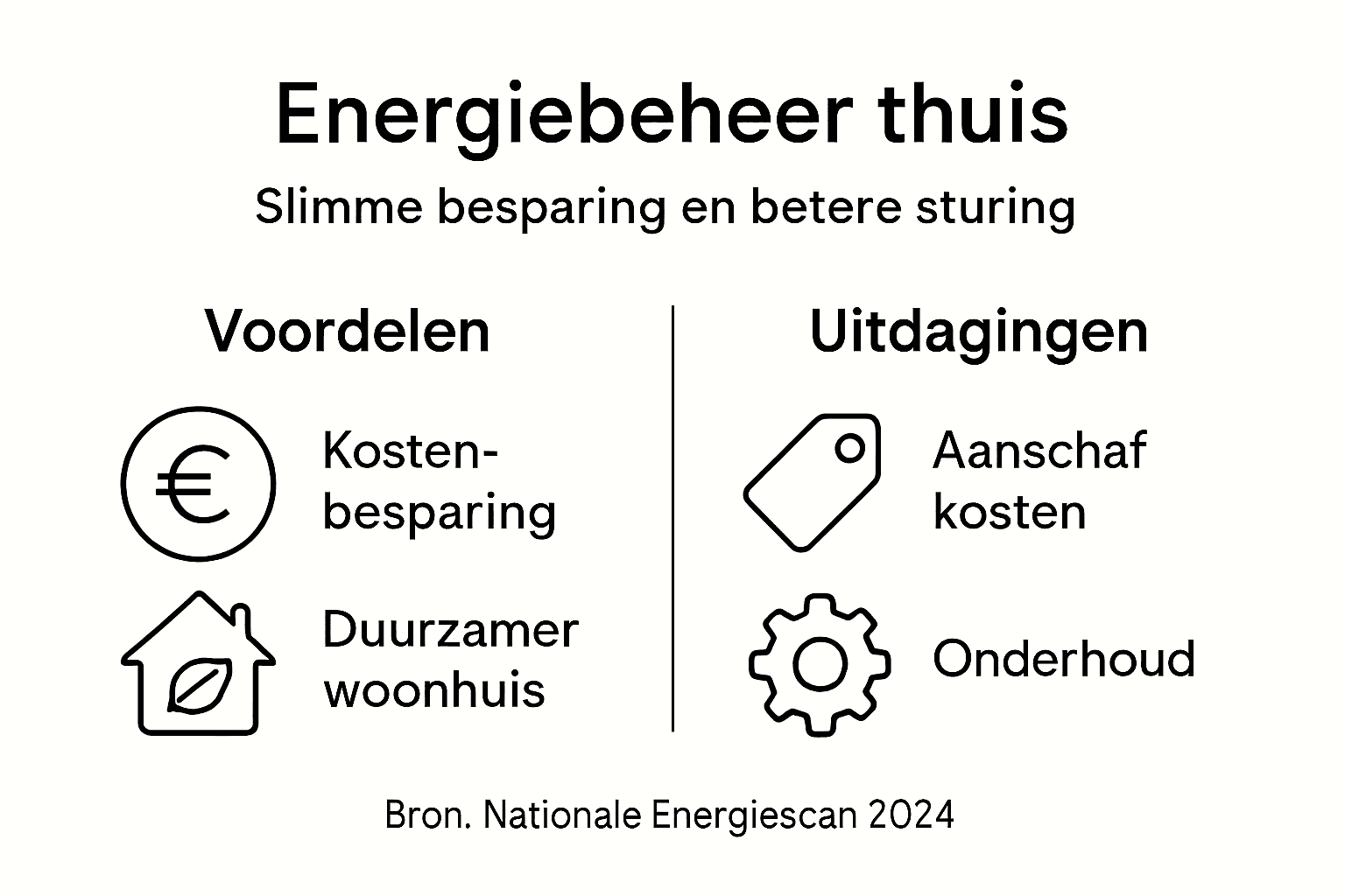 Infographic: de pluspunten en aandachtspunten van energiebeheer