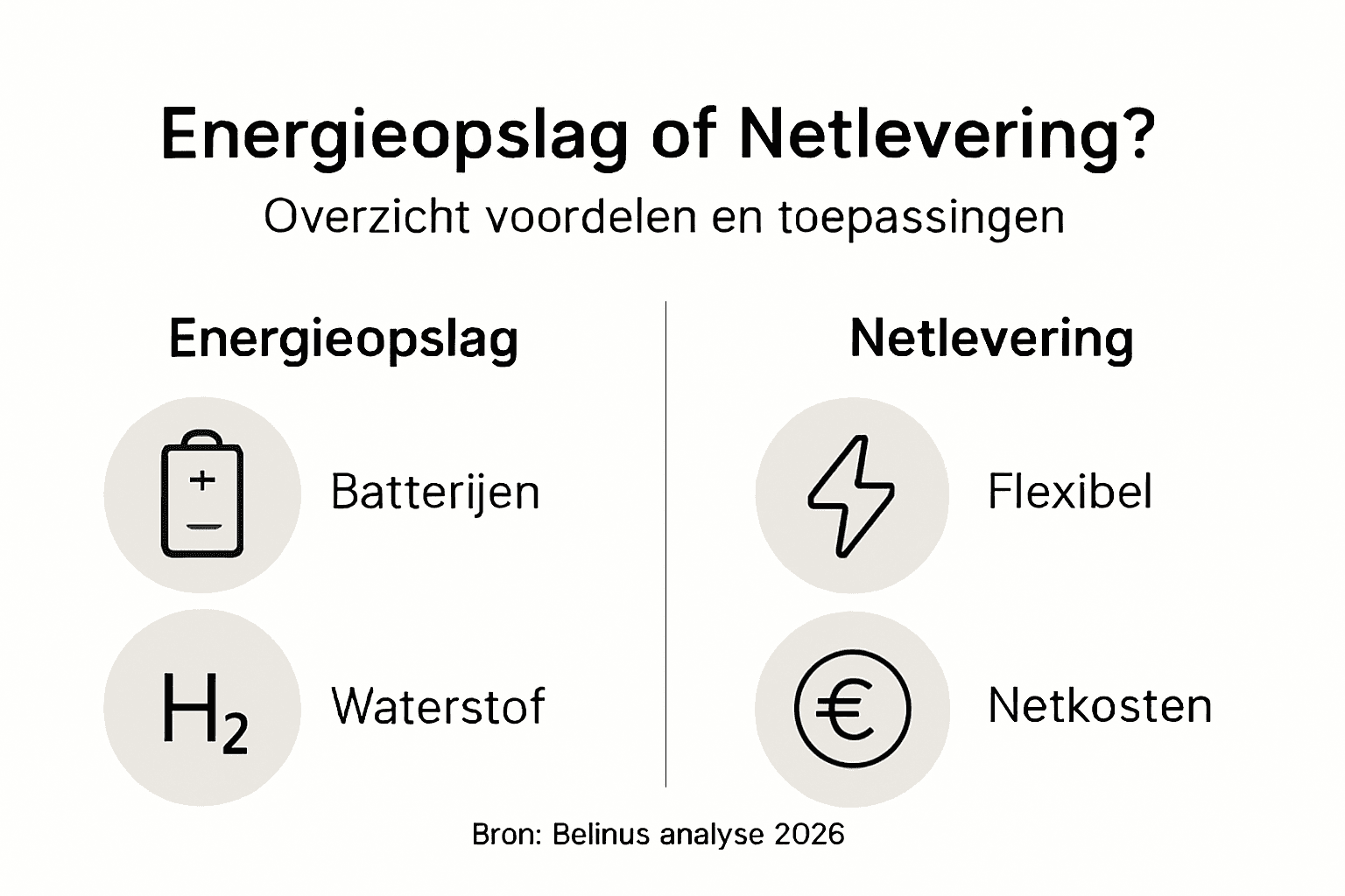 Infographic: energie opslaan of terugleveren aan het net – wat is slimmer?