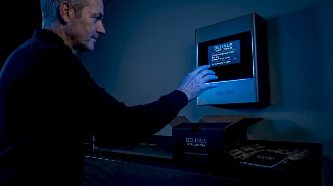 Homeowner inspecting wall-mounted energy battery