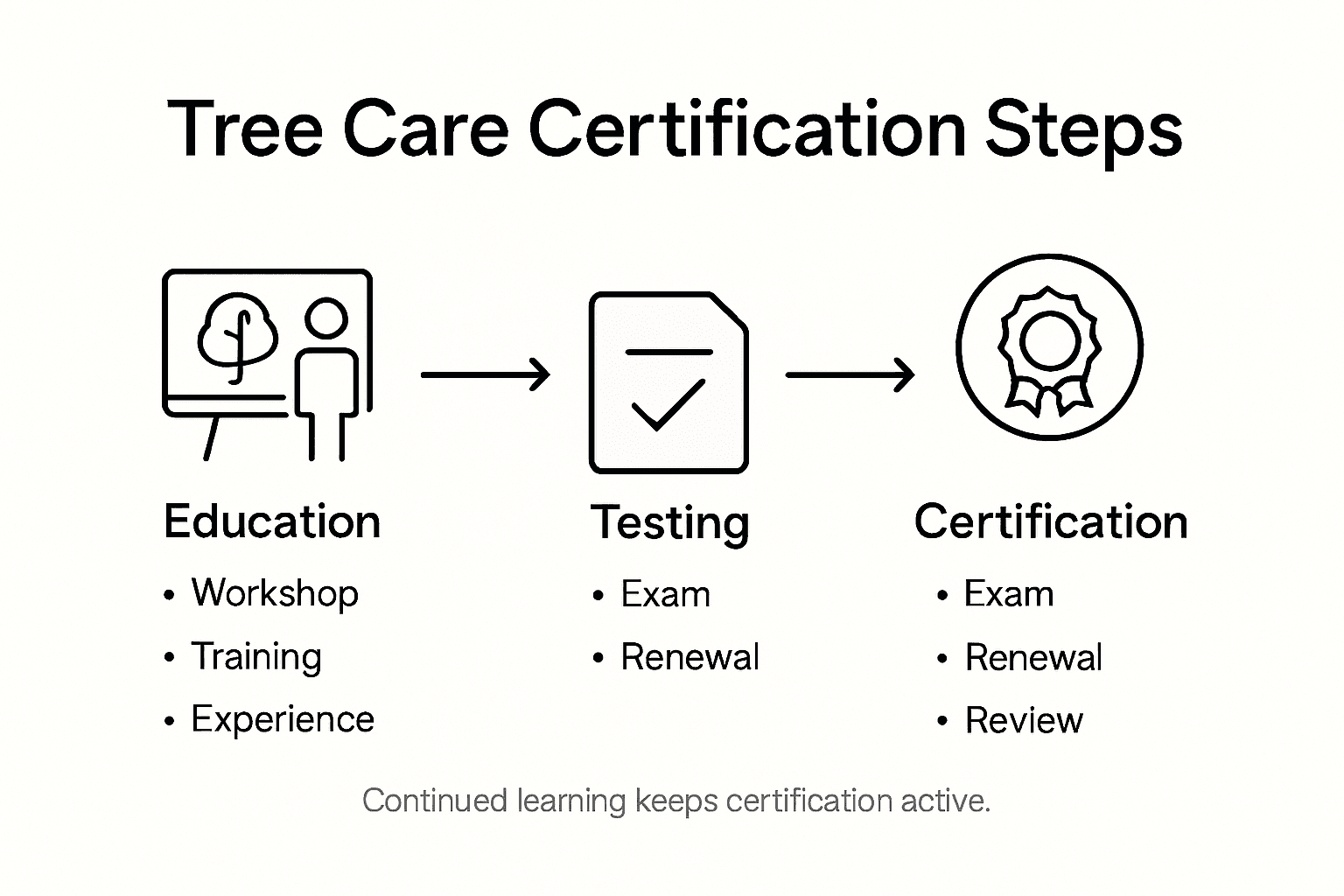 Infographic showing Florida tree care certification steps