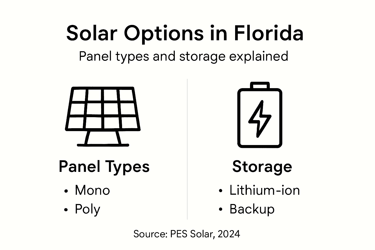 What Is Solar Energy and Why It Matters in Florida 2 Infographic comparing solar panel and storage options