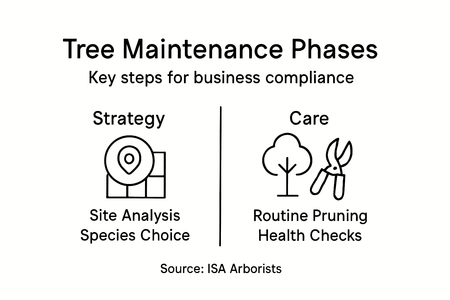 Infographic showing tree maintenance phases