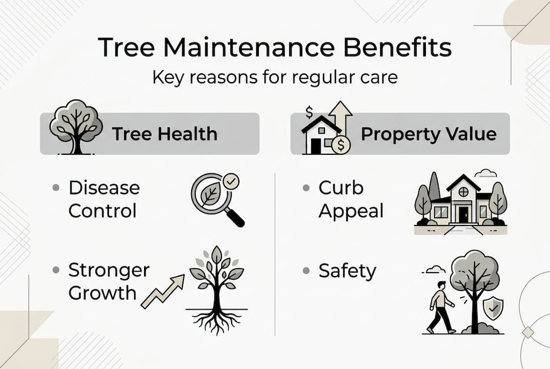 Infographic summarizing tree health and property value benefits