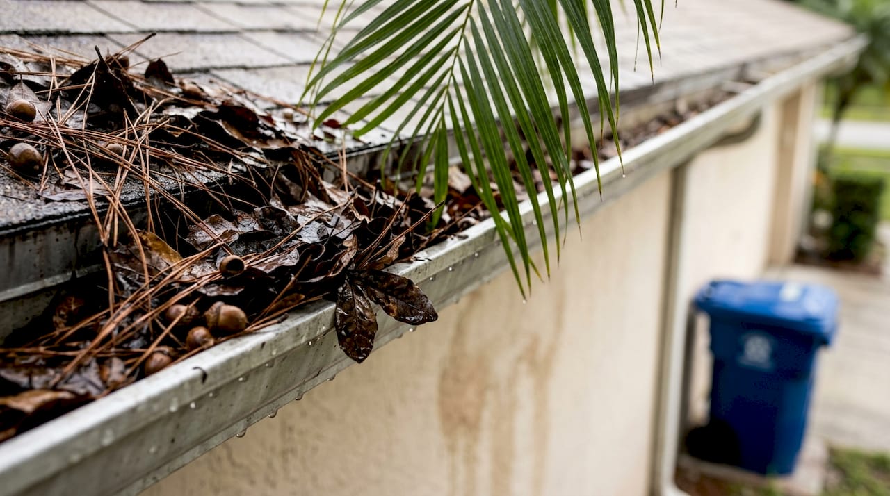 Gutter packed with wet leaves and debris