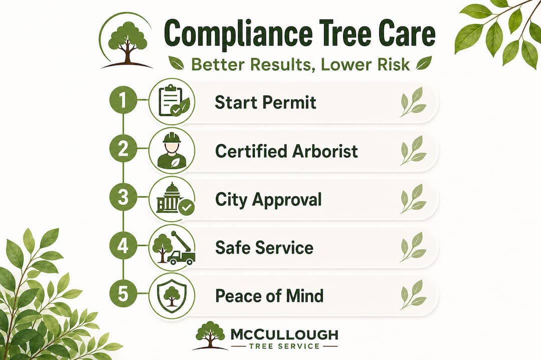 Vertical flow infographic on compliance tree care steps