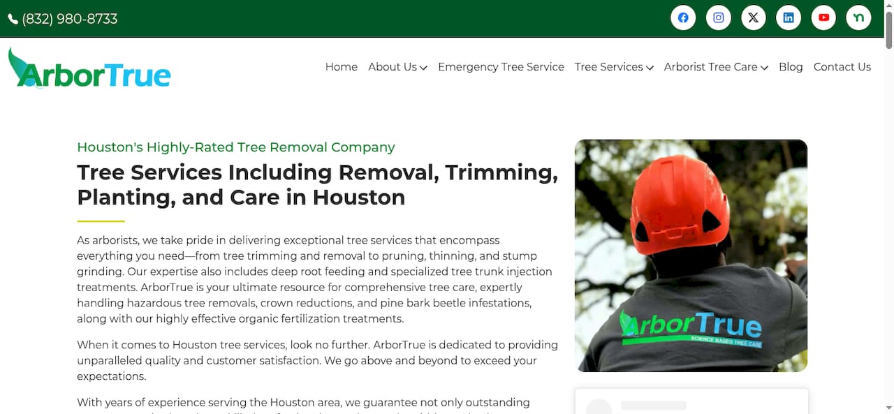 Top 3 treeworknow.com alternatives 2026 2 Product Screenshot