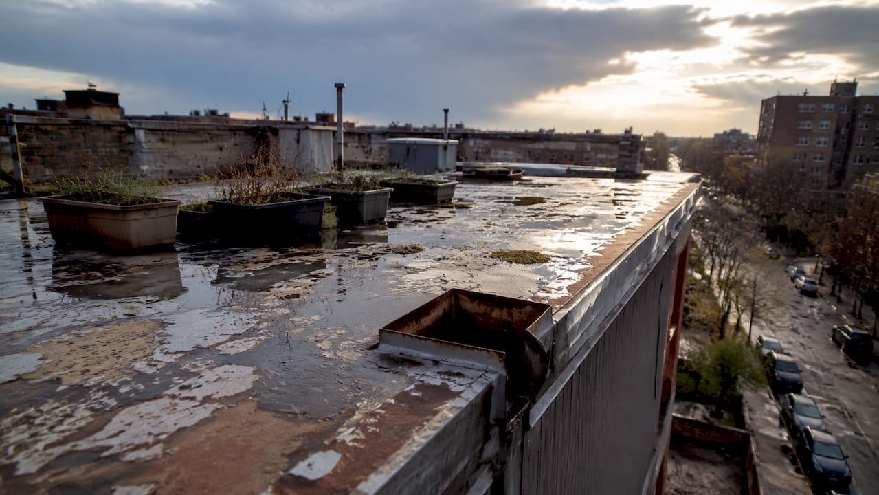 Flat roof edge with water damage and ponding