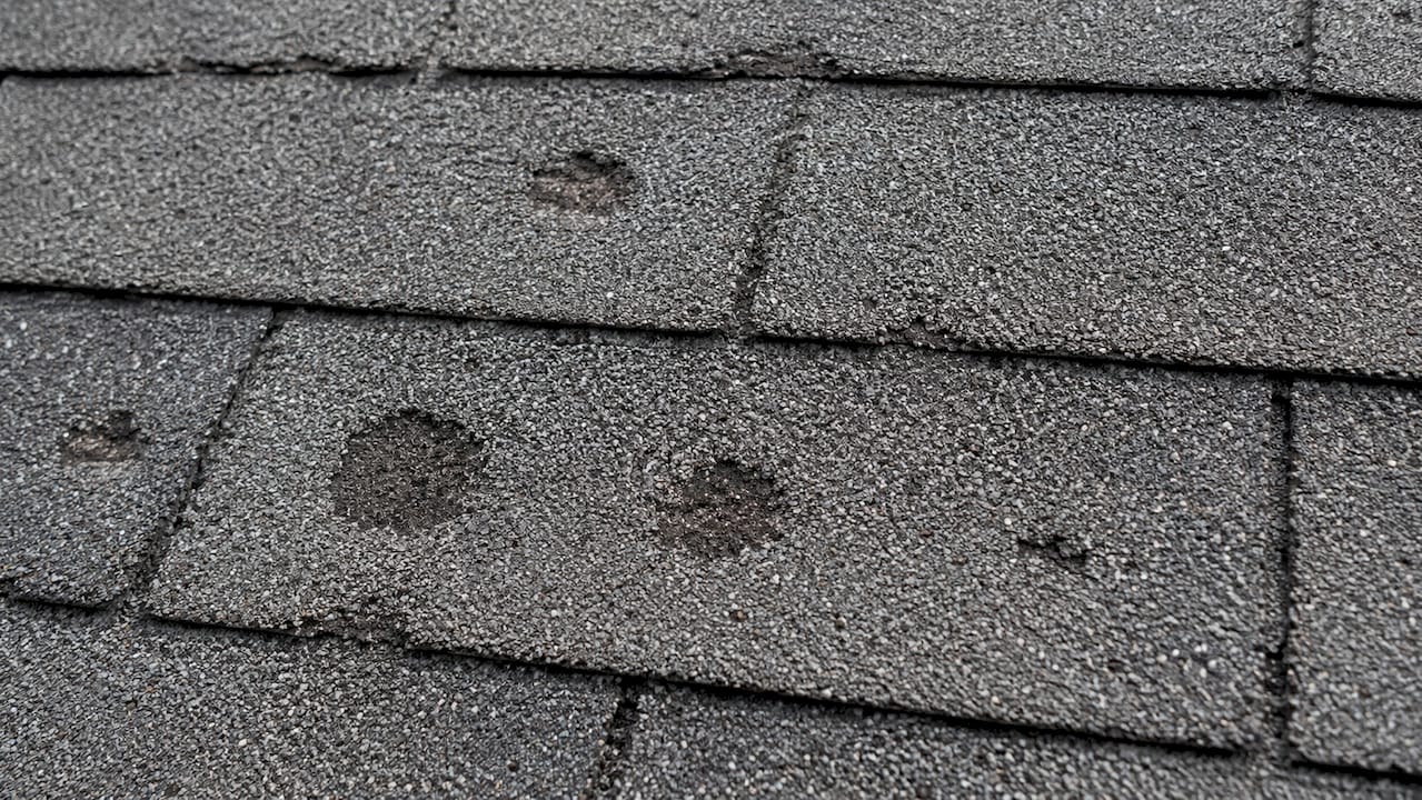 Close-up of hail damage on asphalt shingles