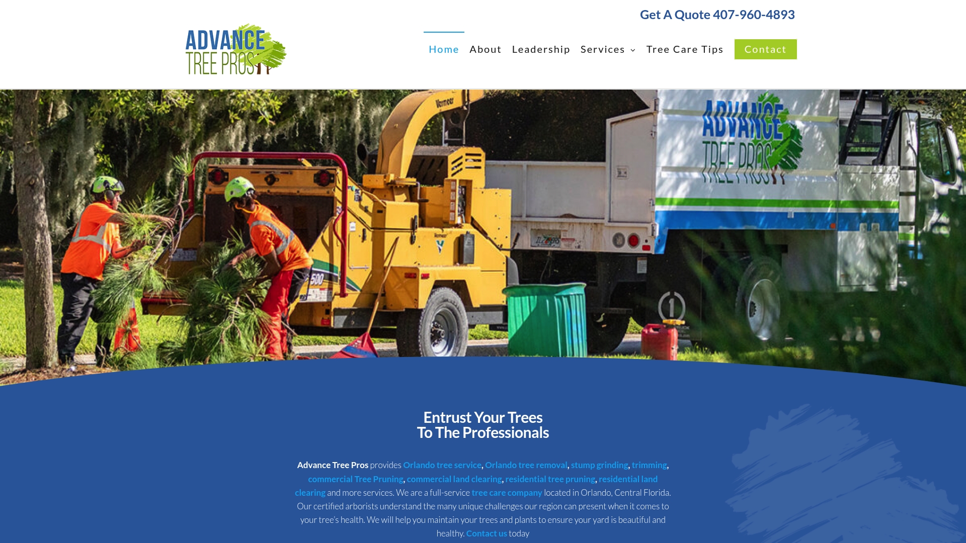 Top 5 Monstertreeservice.com Alternatives 2026 3 https://advancetreepros.com
