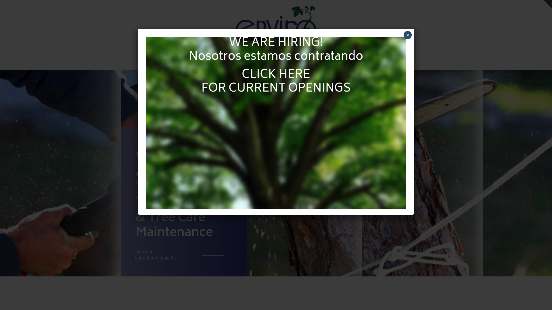 Top 5 Monstertreeservice.com Alternatives 2026 4 https://envirotreeservice.com