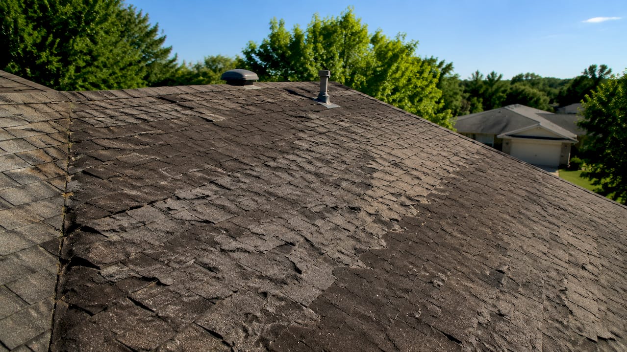 Close-up of dew and damage on Texas roof shingles