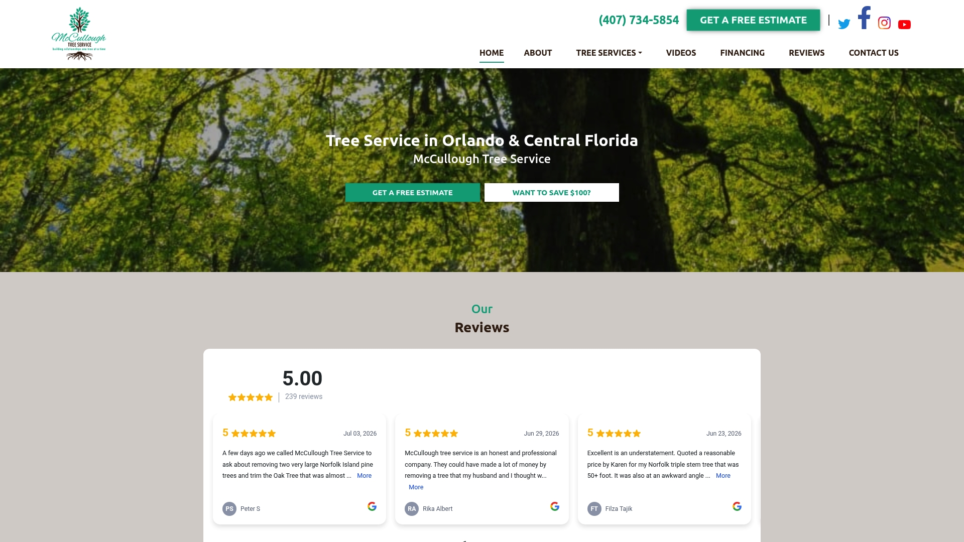 Top 6 BeaverTreeOrlando.com Alternatives 2026 1 https://mcculloughtreeservice.com