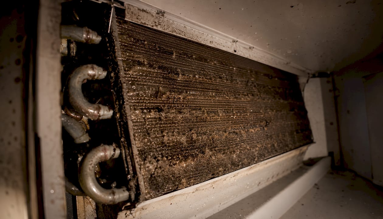 Grimy buildup on evaporator coils inside AC