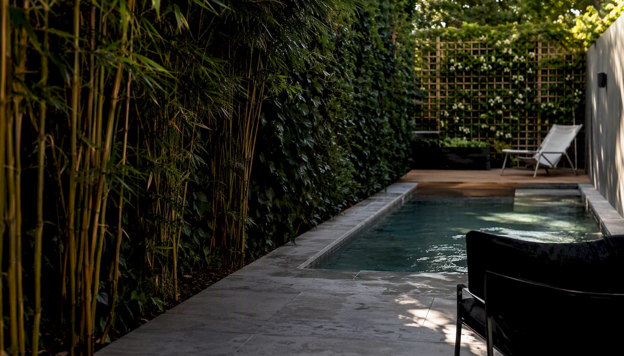 Narrow Yard Pool Designs: Space-Saving Ideas That Work 3 Vertical landscaping providing privacy by pool