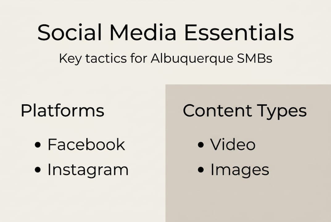 Social media marketing essentials for Albuquerque SMBs 3 Infographic With Platforms And Content Types For Smbs