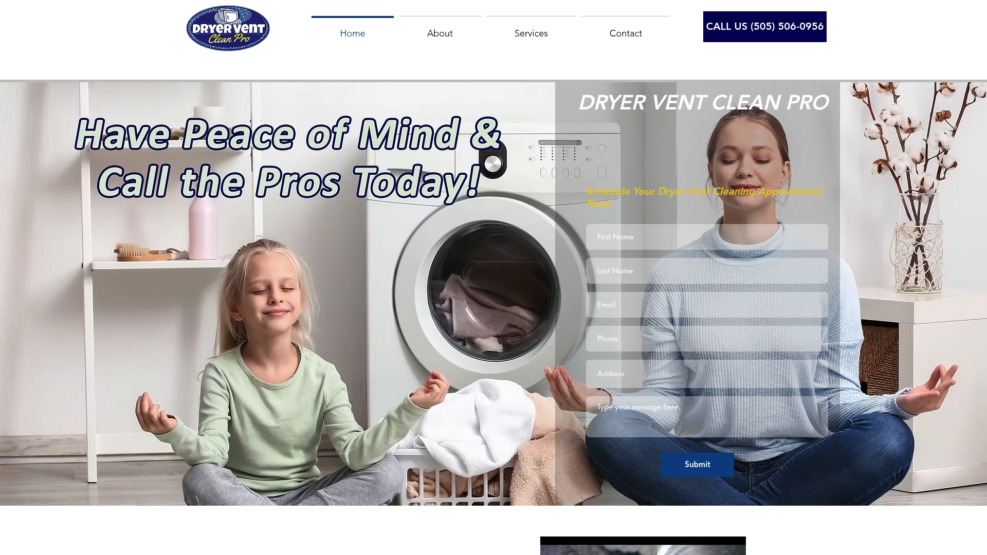 https://dryerventcleanpro.com