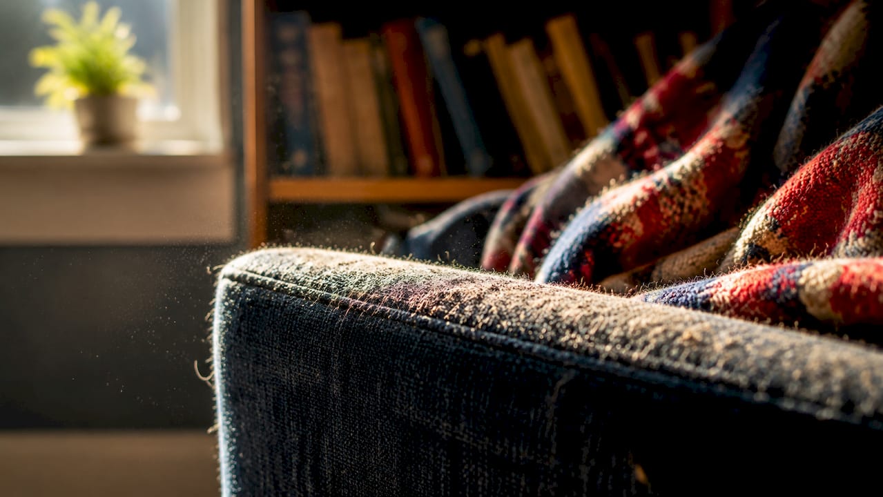 Close-up of dust particles on fabric