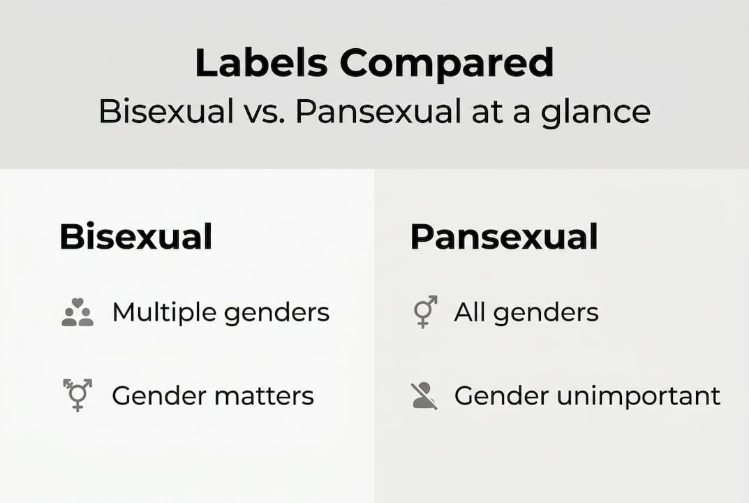 Infographic comparing bisexual and pansexual labels