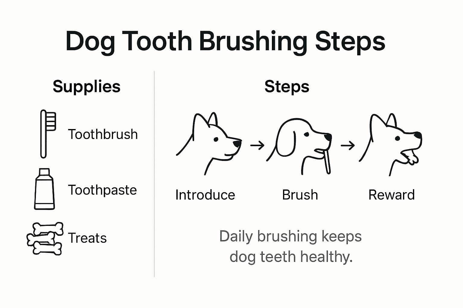 Infographic showing dog brushing steps and supplies