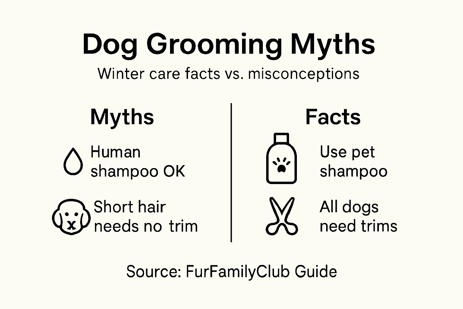 Infographic debunking winter dog grooming myths