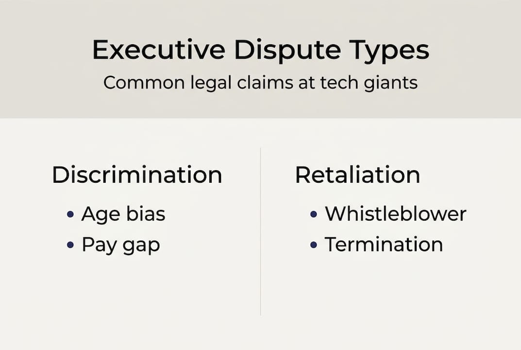 Infographic showing executive dispute categories