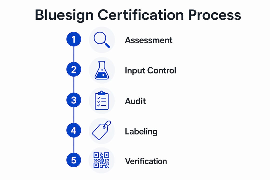 Infographic illustrating bluesign certification steps