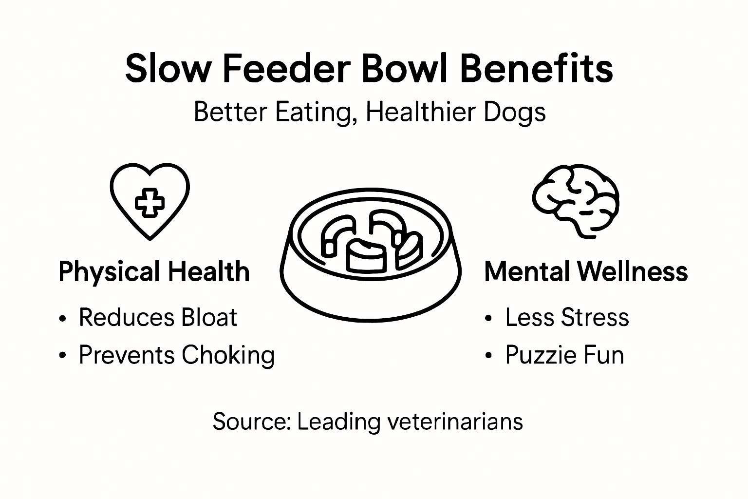 Infographic on slow feeder bowl health benefits