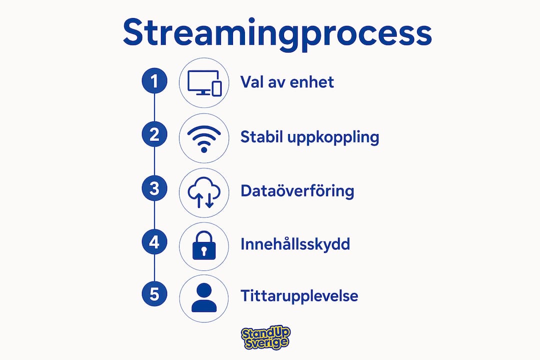 Så fungerar streaming – en översikt i bild