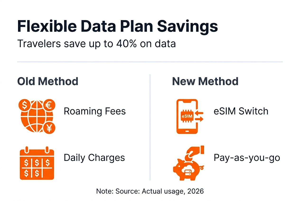 Infographic: Flexible data plans vs roaming fees