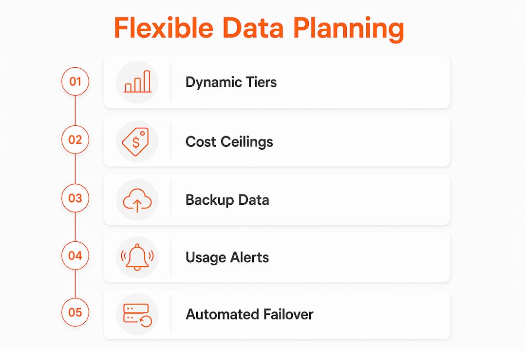 Infographic showing key features of flexible data planning