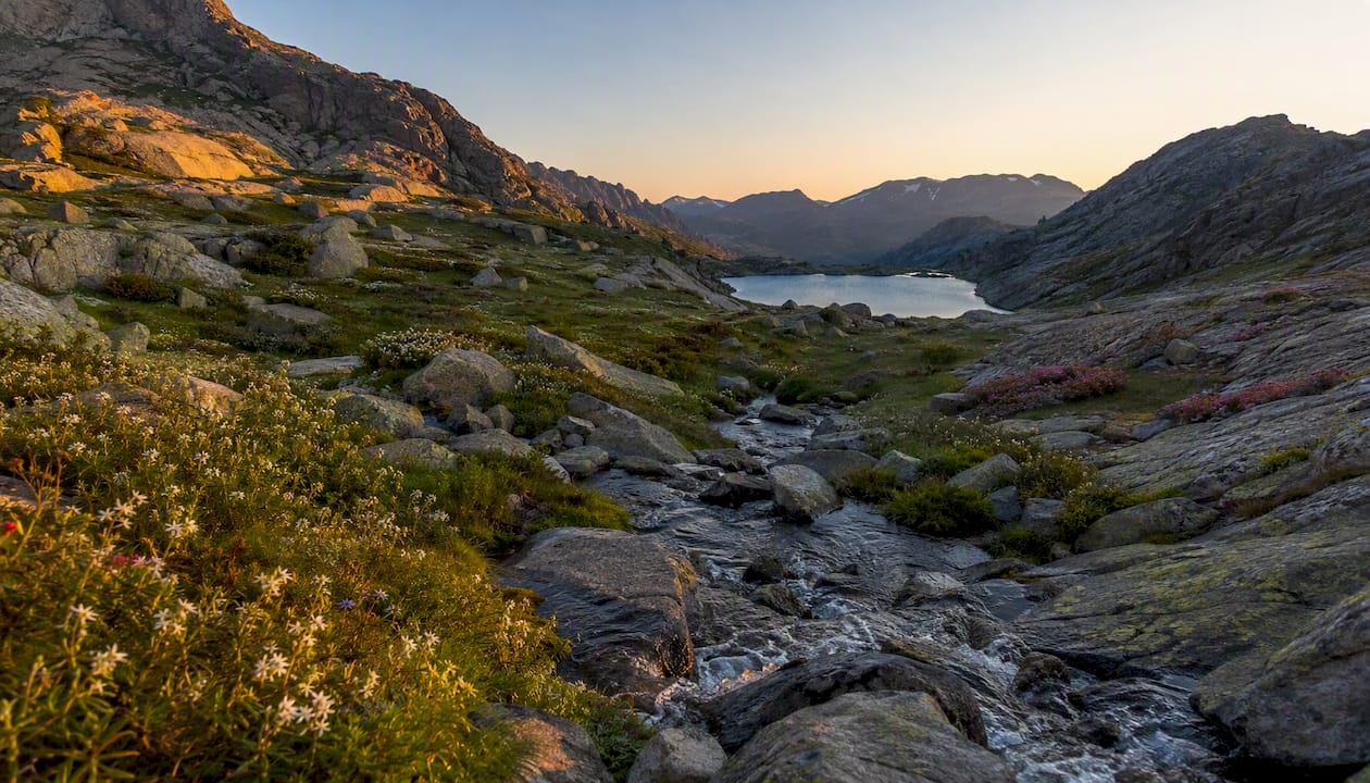 La délicatesse des plantes alpines et la pureté d’un ruisseau de montagne