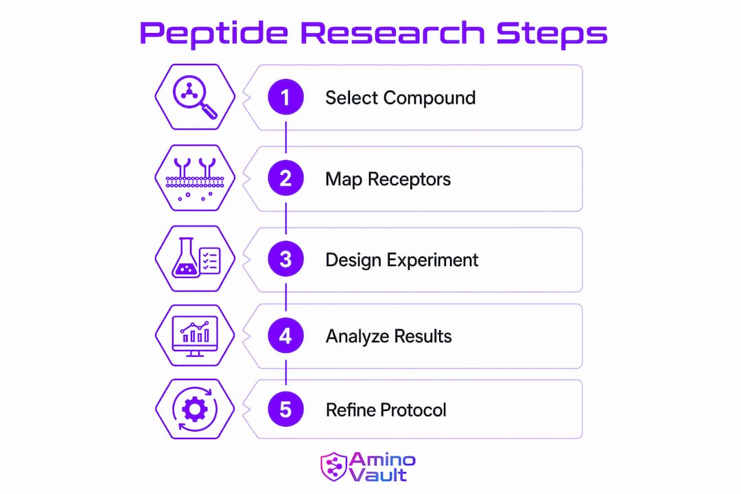 Infographic illustrating peptide research workflow steps