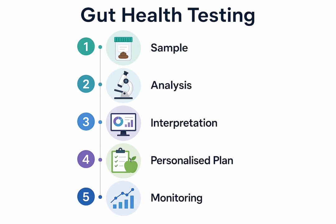 Infographic illustrating gut health testing process steps