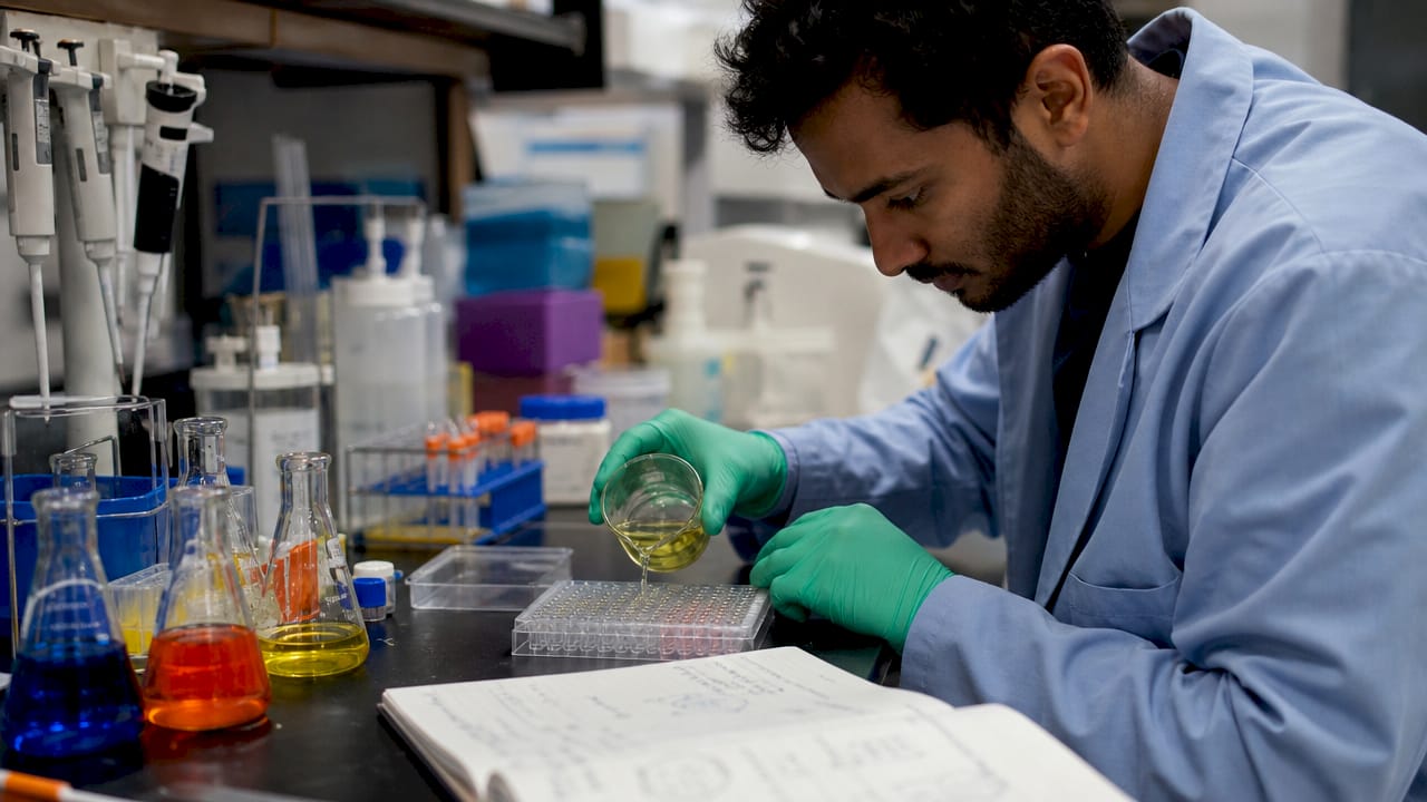 Hands pipetting samples for IgG testing