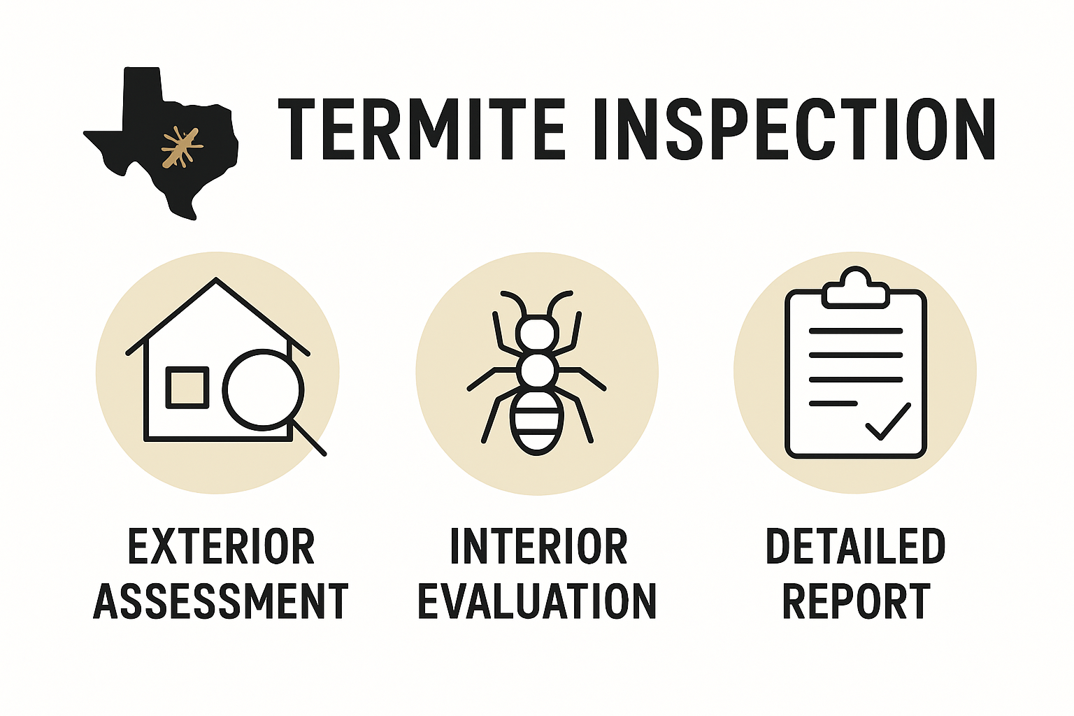 Infographic outlining the termite inspection process steps