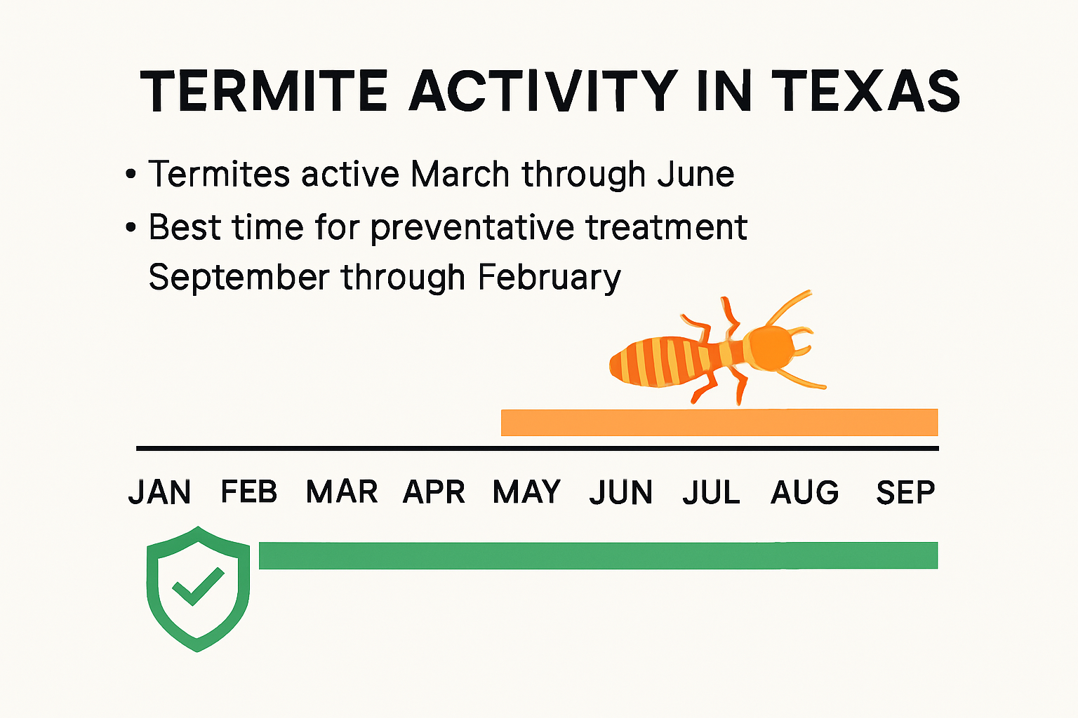 Texas termite activity and treatment timing infographic